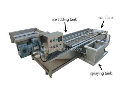 China Large Meat Processing Plants Model Fish Meat Ice Glazing Machine|Meat Glaze Machine|Fish Ball Ice Glazing Machine for sale