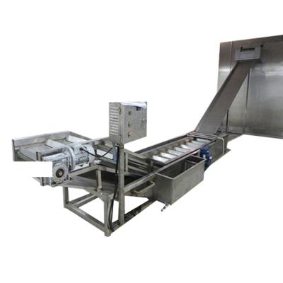 China food & Beverage Plant Fish Glazer Machine Fish Ice Coating MachinesFish Icing Ice Machines for sale