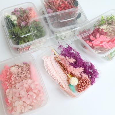 China Dried Flower DIY Art Flower Craft DIY Decoration Wedding Flower Home Decor Aromatherapy Accessories Candle Epoxy Resin Floral Dry Craft Pendant for sale