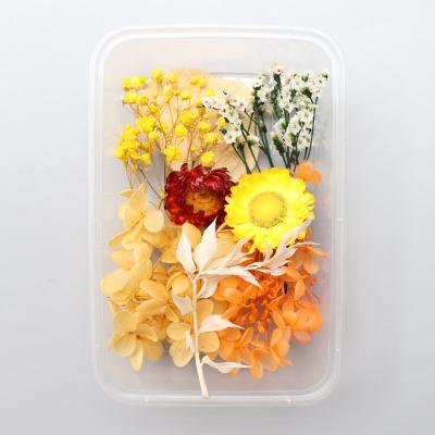 China Decoration Craft DIY Flower Art Real Dried Flower Dry Floral Plants For Aromatherapy Making Craft DIY Accessories for sale