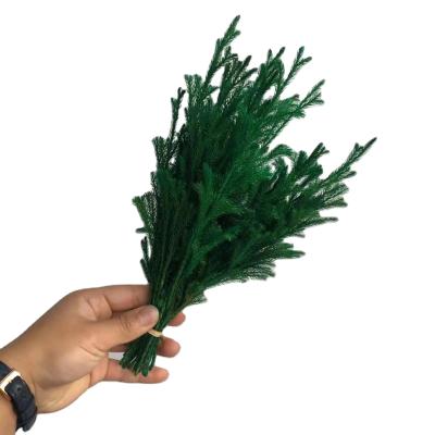 China 2021 Popular Immortal Preserved Flower Lycopodium Ishimatsu Preserved Stone Pine For Christmas Decoration 25CM for sale