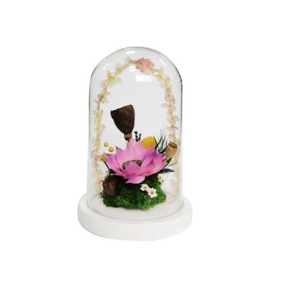 China Wholesales Fresh Flower Preserved Flower Dried Preserved Lotus Preserved Flowers In Glass Dome For Gift Box 14.5*14.5*22CM for sale