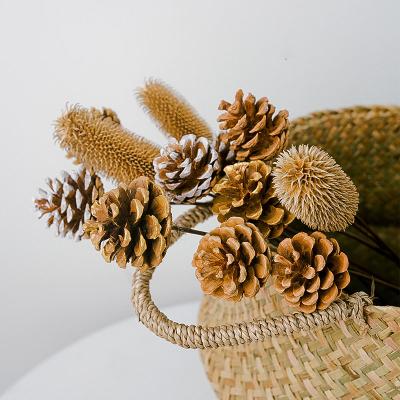 China Festival Gift High Quality Artificial Fine Dried Preserved Flowers With Pinecone And Dried Leaves Handmade For Christmas Decoration for sale