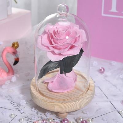 China Festival Gift Preserved Ecuador Eternal Flower Roses Glass Domes Wholesale (Pink, Red, Blue, Black, Gold. White) for sale