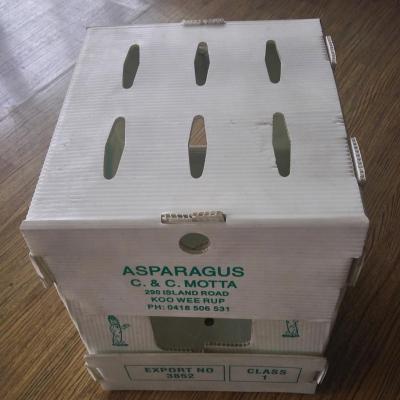 China Polypropylene plastic corrugated box for vegetable and fruit box for sale