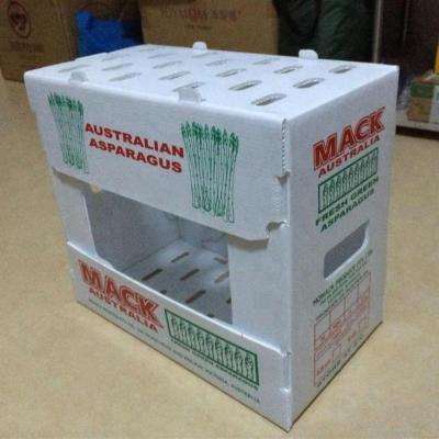 China Polypropylene PP Core Box For Vegetable And Fruit Box for sale