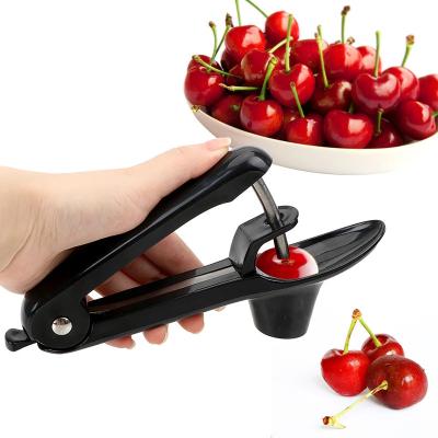 China Vegetable Salad Tools Cherry Fruit Kitchen Pitter Remover Olive Corer Seed Remove Pitter Viable Tool Instruments For Cooking Accessories for sale