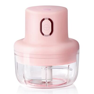 China Portable Filling Instruments Mini Electric Garlic Chopper 100/250ML USB Food Slicer Kitchen Accessories Viable Garlic Crusher Amazon for sale