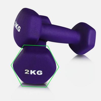 China HealthVIP Color Hex Dumbbells Dumbbells Eco-Friendly Eco-Friendly Eco-Friendly Fitness Dumbbell Set For Indoor Exercise Workout for sale