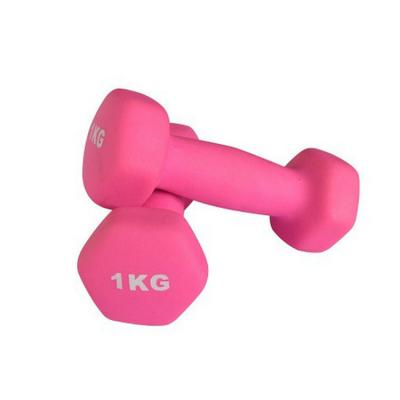 China HealthVIP Eco-Friendly Customized Colorful Cast Iron Hex Dumbbell Home Dumbbell Set For Home Gym Fitness for sale