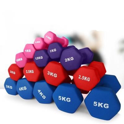 China HealthVIP Eco-friendly Gym Fitness Equipment Commercial Home Dumbbell For Ladies And Kids Colored Dumbbells for sale