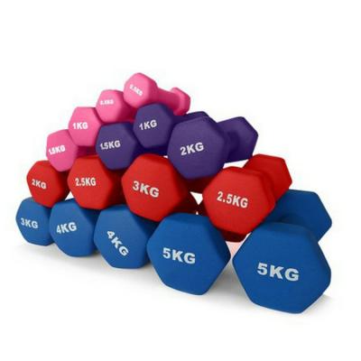 China HealthVIP Eco-Friendly Kids Exercise Small Gym Equipment Dumbbell Set For Body Slimming Fitness for sale