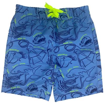 China Summer Breathable Quick Dry Beach Wear Kids Board Shorts OEM Surfing Vocation Swimming To Wear Boys Casual Underpants Wholesale for sale