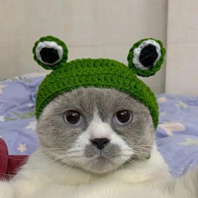 China F-6272 Amazon Hand Crochet Frog Animal Pet Beanie Cat Dog Lion Winter COMMON Hot Selling Custom Knitted Hat For Wholesale for sale