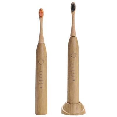 China Toothbrush Escova De Dente Eletrica Smart Sonic Teeth Brush Cepillo Electrico Battery Operated Automatic Bamboo Toothbrush Vibration Tartar Removal Brush for sale