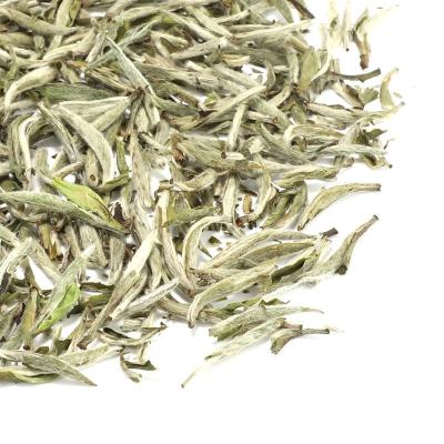 China Yinzhen loose fine white tea top tea Songluo tea EU standard ribbon bai Hao needles the white tea for sale