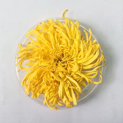 China Loose Premium Grade Fetal Chrysanthemum Gloden-Yellow Tea Top Emperor Chrysanthemum Gold Tea for sale