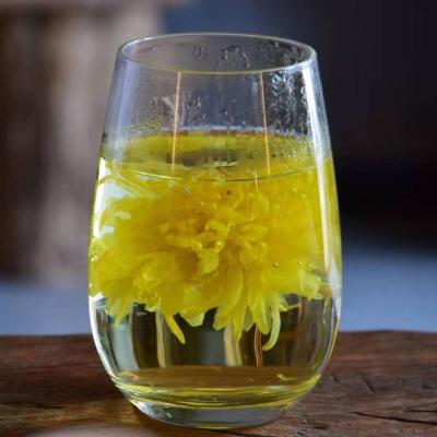 China Chinese Herbal Tea Loose Flower Tea Natural Blooming Golden Chrysanthemum for sale