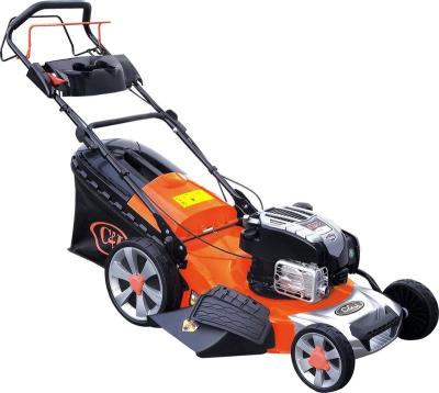 China 4-Stroke CJ Lawn Mower Grass Cutter 4 Stroke for sale