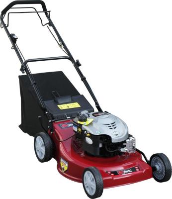 China china 4-Stroke rotary lawn mower CJ21G3IN1B60-DL3 for sale