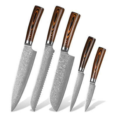 China 5PCS Sustainable Damascus Steel High Carbon Steel Kitchen Knife Set Slicing Knife With Pakkawood Handle for sale