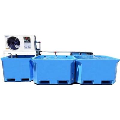 China Wanma Excellent Quality Seafood Live Farming System With Filter Aerator Fish Pond 950mm*750mm*750mm for sale