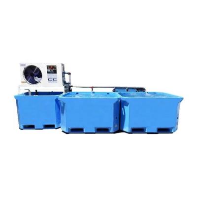 China 950mm*750mm*750mm Professional Plastic Seafood Box Maker Storage Box Live Fish Seafood Live Farming System for sale