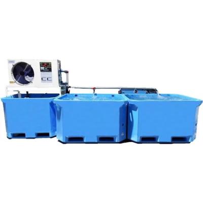 China High Quality Indoor Tilapia Fish Farming Equipment Recycling Aquaculture System 950mm*750mm*750mm for sale