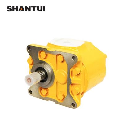 China Building Material Shops SHANTUI Spare Parts Hydraulic Pump Work Pump 16Y-61-01000 for sale