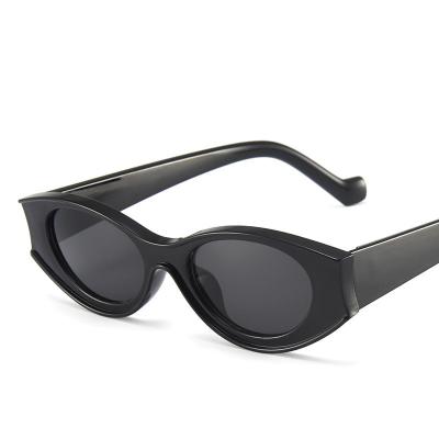 China Popular New Fashion Cat Eye Ins Sun Glasses Oval Sunglasses Retro Fashion UV400 for sale