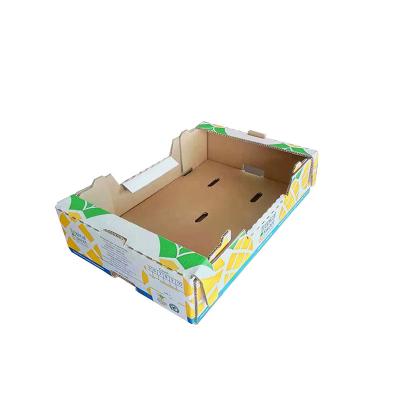 China Recycled Materials OEM Cardboard Dragon Fruit Packaging Box for sale