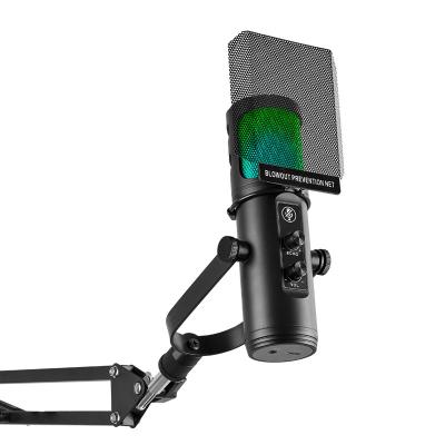 China Hot Selling Cardioid Usb Studio Wired Microphone For Recording Mic for sale