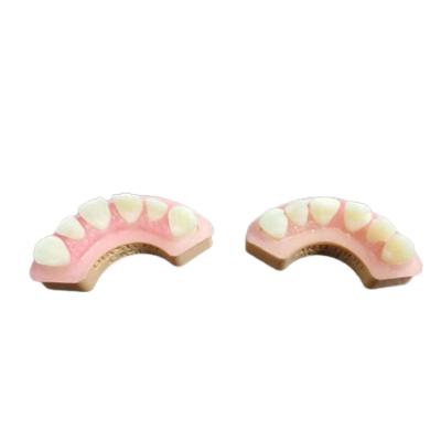 Cina OEM High Quality 3D Printing Resin Tooth Teaching Dental Model in vendita