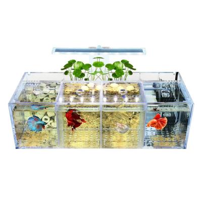 China Manufacturer Direct Selling Viable Acrylic Aquarium Isolation Popular Small Fish Tank for sale