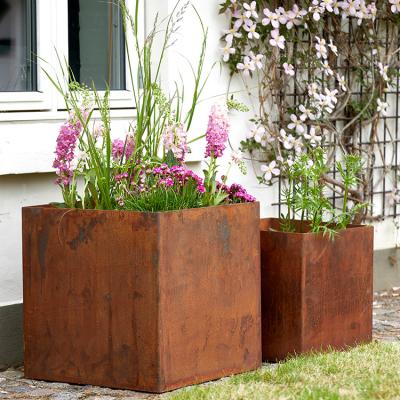 China Potas de flores de metal Gran Corten de acero Planter Box Jardín Ornamentaciones metálicas en venta