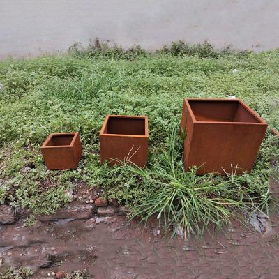 China Caixas de aço corten Plant Durável e escolha elegante para espaços externos à venda