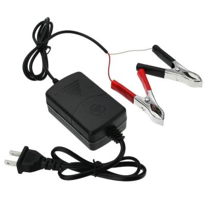 China C-Power 15W 12V/1.25A 4S LiFePO4 Lithium Battery Charger for Customer Requirements for sale