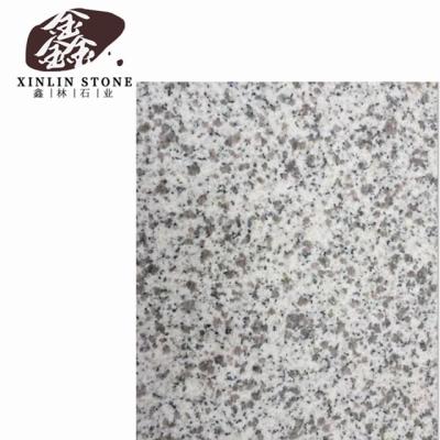 China Modern Cheap Outdoor Customizable Granite Slabs G602 G603 Gray China Stone China Black Granite Stone With Polished Surface for sale