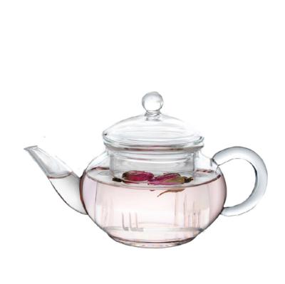 China Stovetop Safe Viable Glass Teapot 250ml With Removable Loose Tea Infuser Tea Kettle And Glass Tea Maker for sale