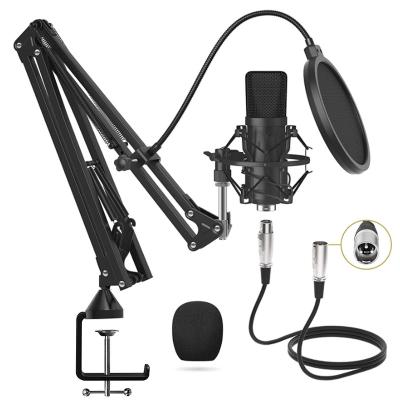 China Zimhome Professional Studio Podcast Broadcast Live Stream Equipment XLR BM800 Condenser ZTX11 Microphone Desktop Kit for sale