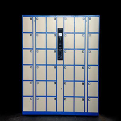 China Outdoor Locker Room Safe Parcel Storage Beach RFID Metal Fingerprint Locker for sale