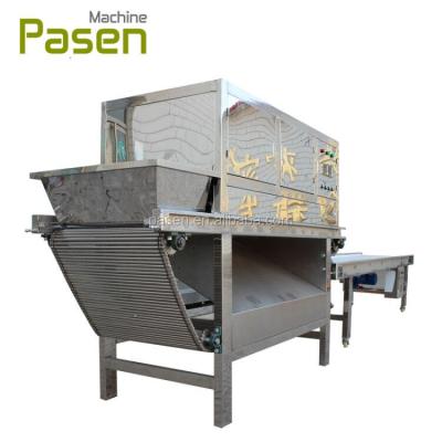 China Farms 1000 kg/h Garlic Peeling Machine -1500 Kg / Chain Link Driven Type Garlic Peeling Machine for sale