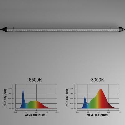 China Waterproof Chicken Farm/Hen House/Pig Farm Ip67 Ip69k Led For Poultry Farm Lighting System Commercial Poultry Led Light for sale