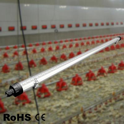 China Poultry industry and common farm house chicken light livestock lighting led agricultural lights for dairy barns for sale