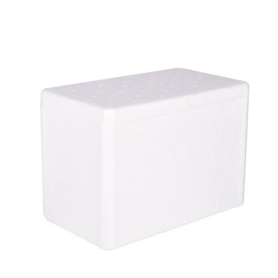 China Waterproof Polystyrene Ice Picnic Box Cooler For Travel And Leisure Sets Cooler Box for sale