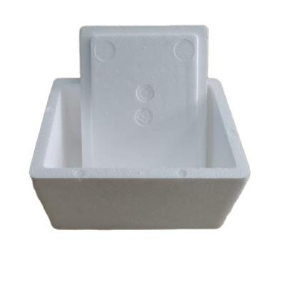 China Custom Cheap High Quality Wholesale Foam Insulated Shipping Box Waterproof for sale