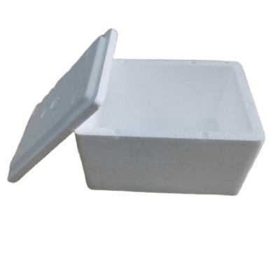 China Wholesale Custom High Quality Waterproof Foam Carry Box for sale