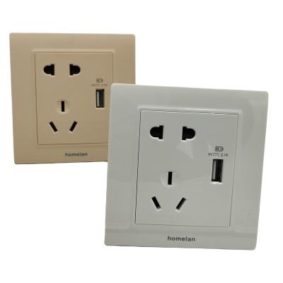 China Homelan Residential / Multi-Purpose Economical USB Power Outlet Wall Socket for sale