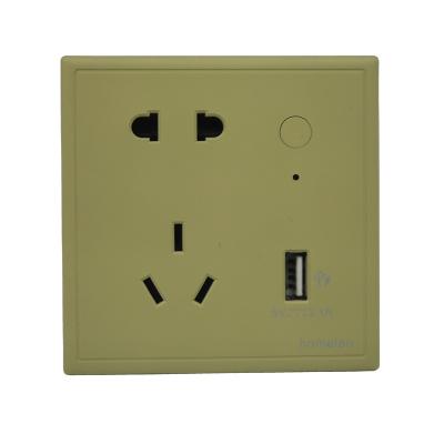 China Easy installation customized wall socket with usb ports 5v usb socket manufacturers usb wall socket for sale