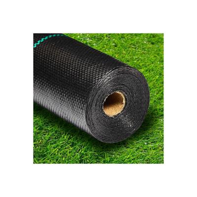 China Home Plant Wholesale Weed Barrier Fabric For Rural Gardens Can Prevent Weeds From Growing for sale